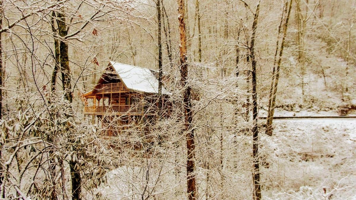 Serenity Creek Cabin - Housity