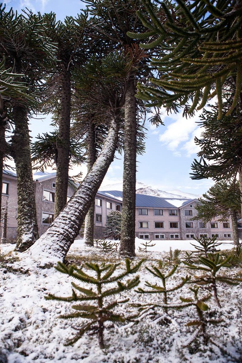 Valle Corralco Hotel & Spa - Housity