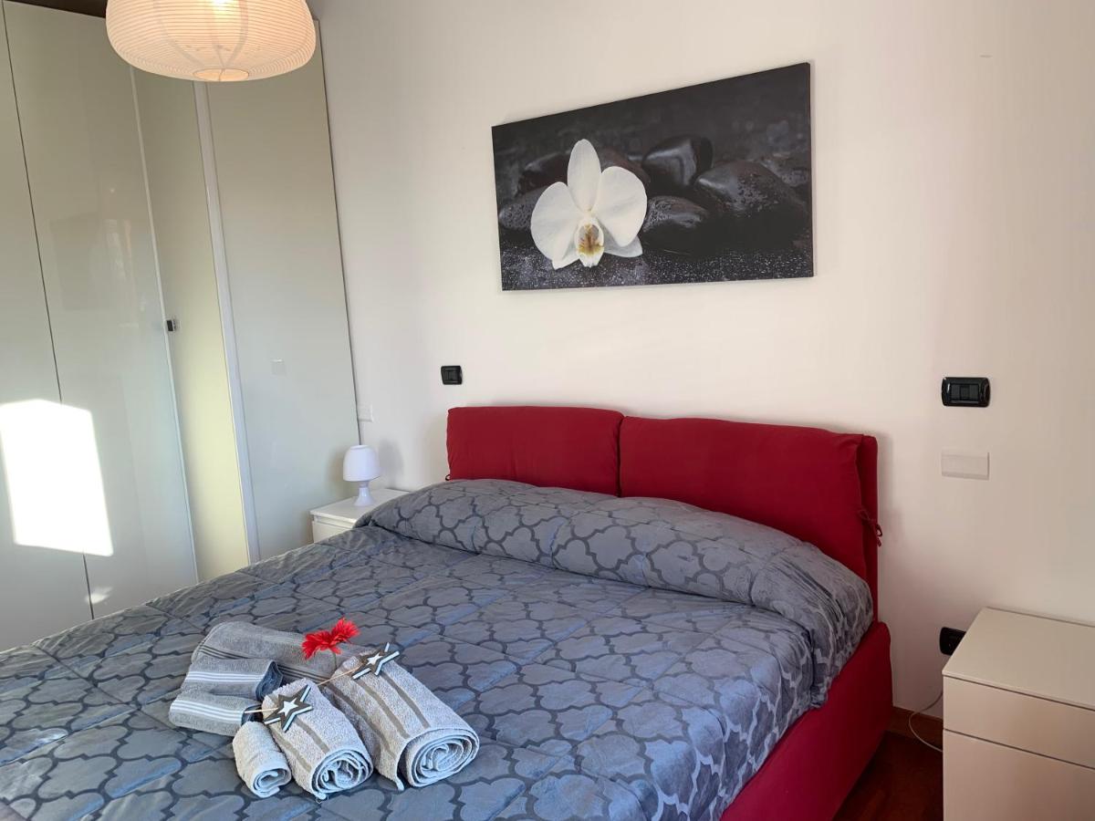 STARFLOWER HOUSE - IEO - Housity