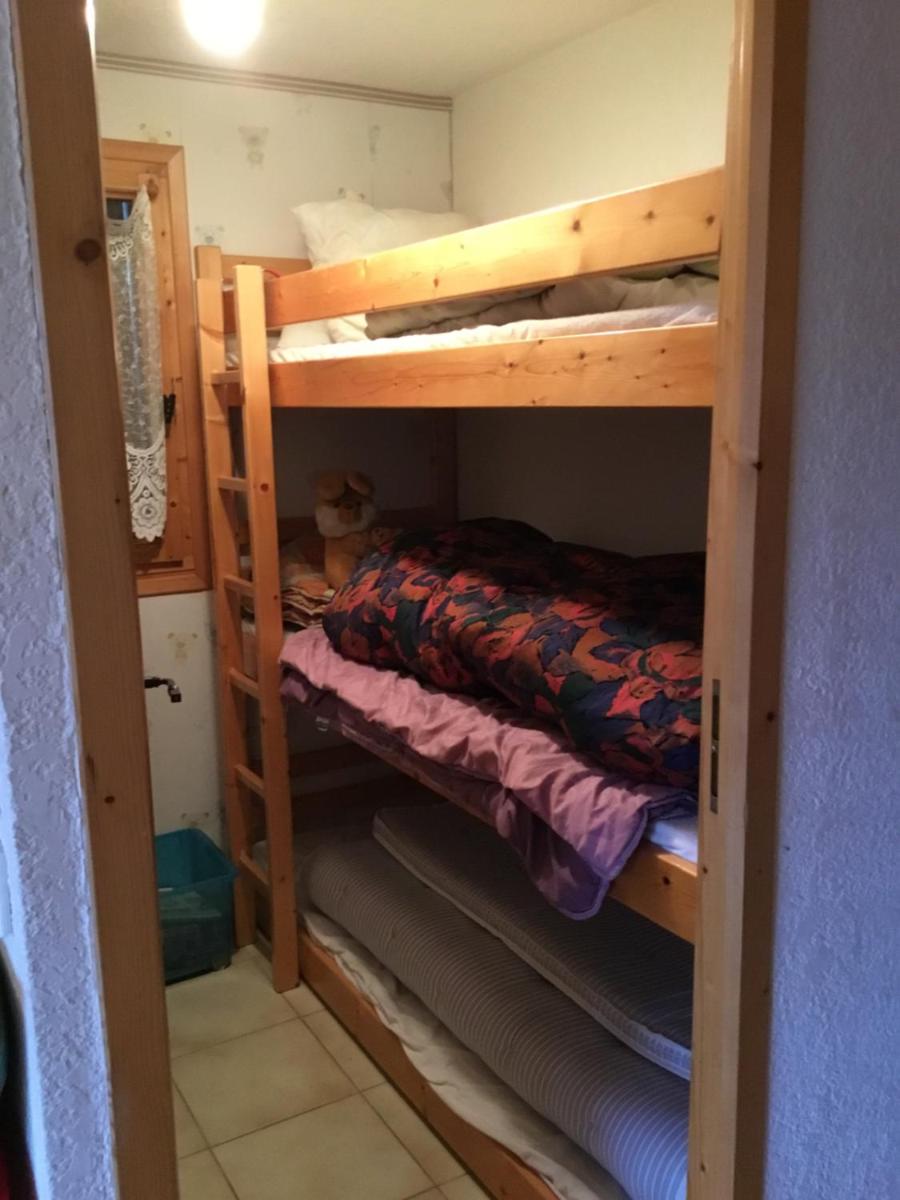 40 Edelweiss des neiges - Housity