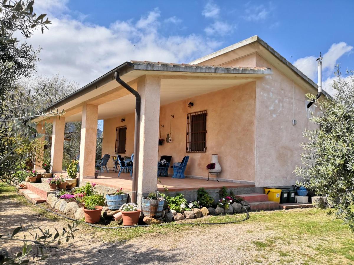 Villa Walter - Housity