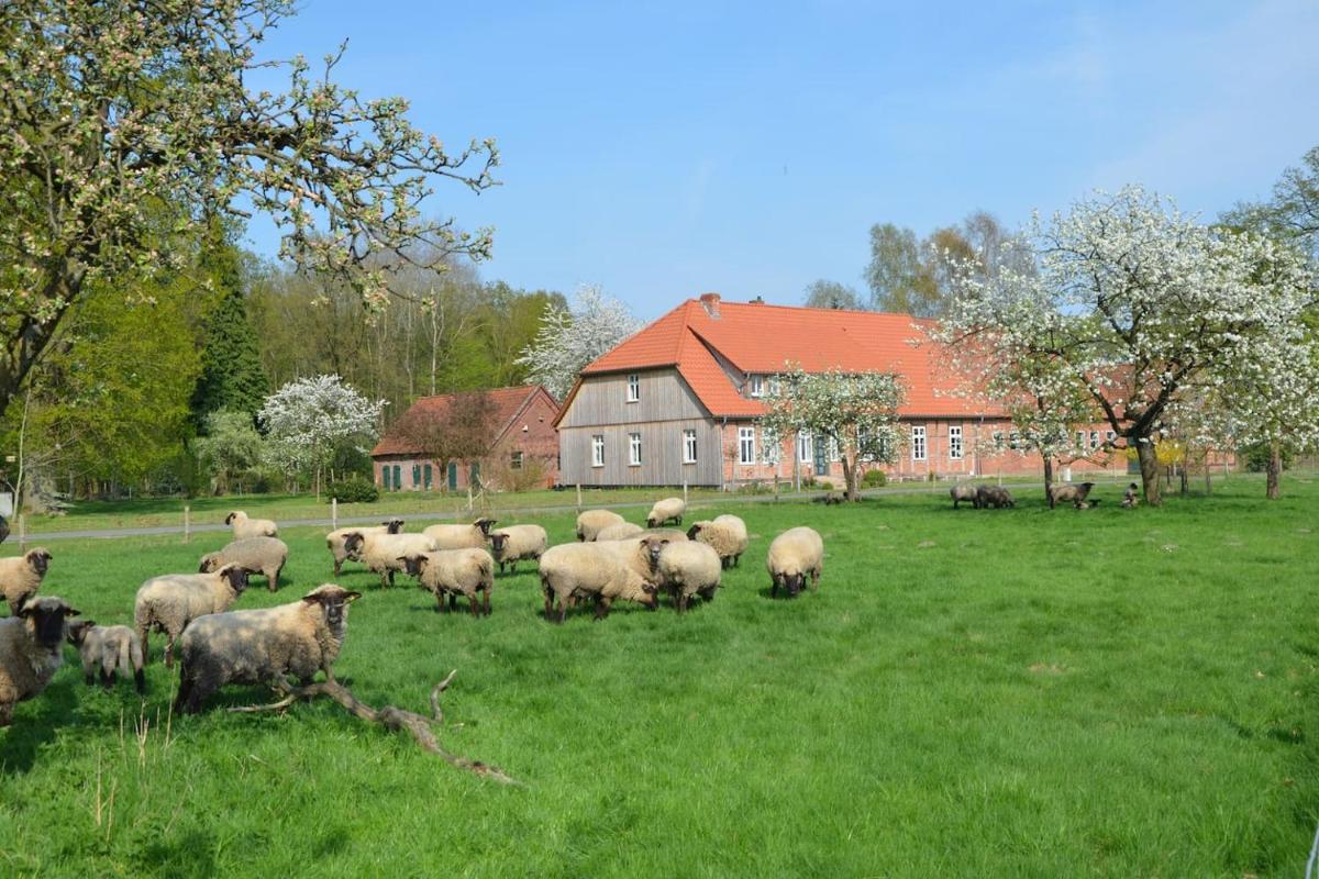 Ferienwohnung Heidjerleev - Housity