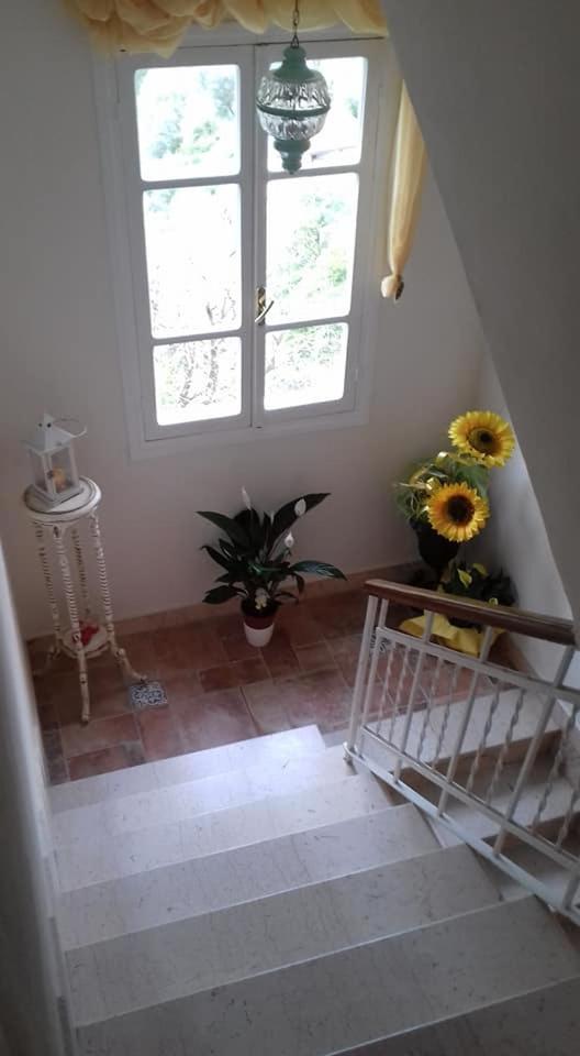 Il Girasole ...At Andorus' House - Housity