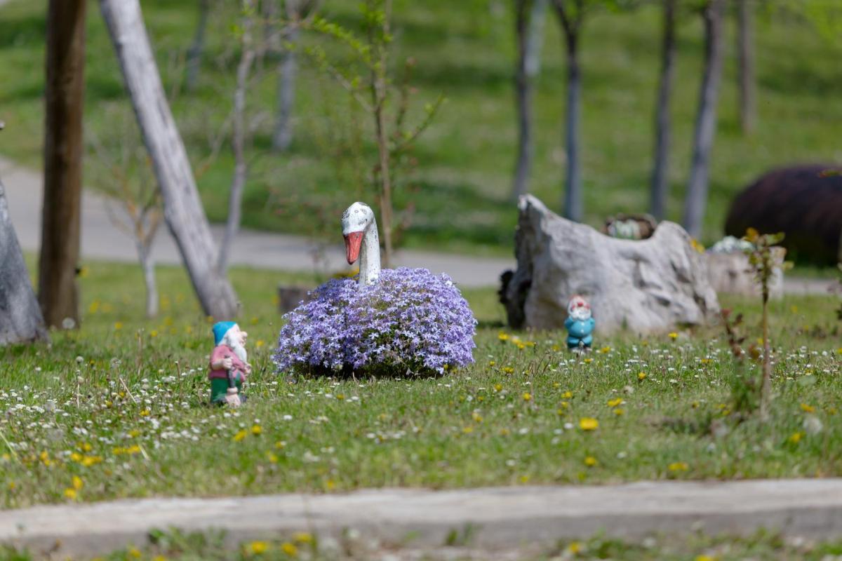 Peace of Nature *** - Housity