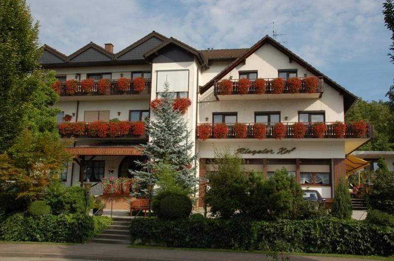 Hotel Riegeler Hof - Housity