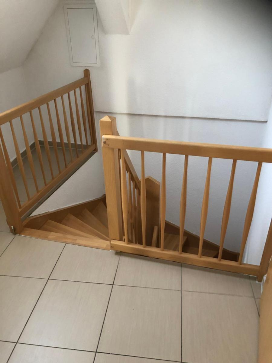 Ferienwohnung am Rande der Dübener Heide - Housity