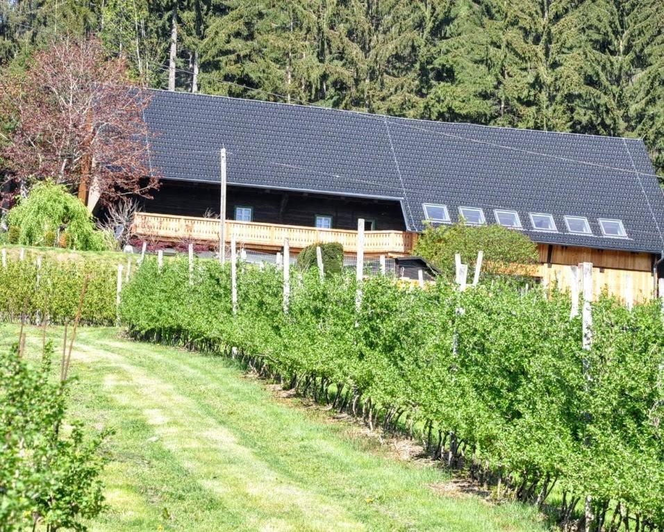 Ferienwohnung Kochs Beeren - Housity