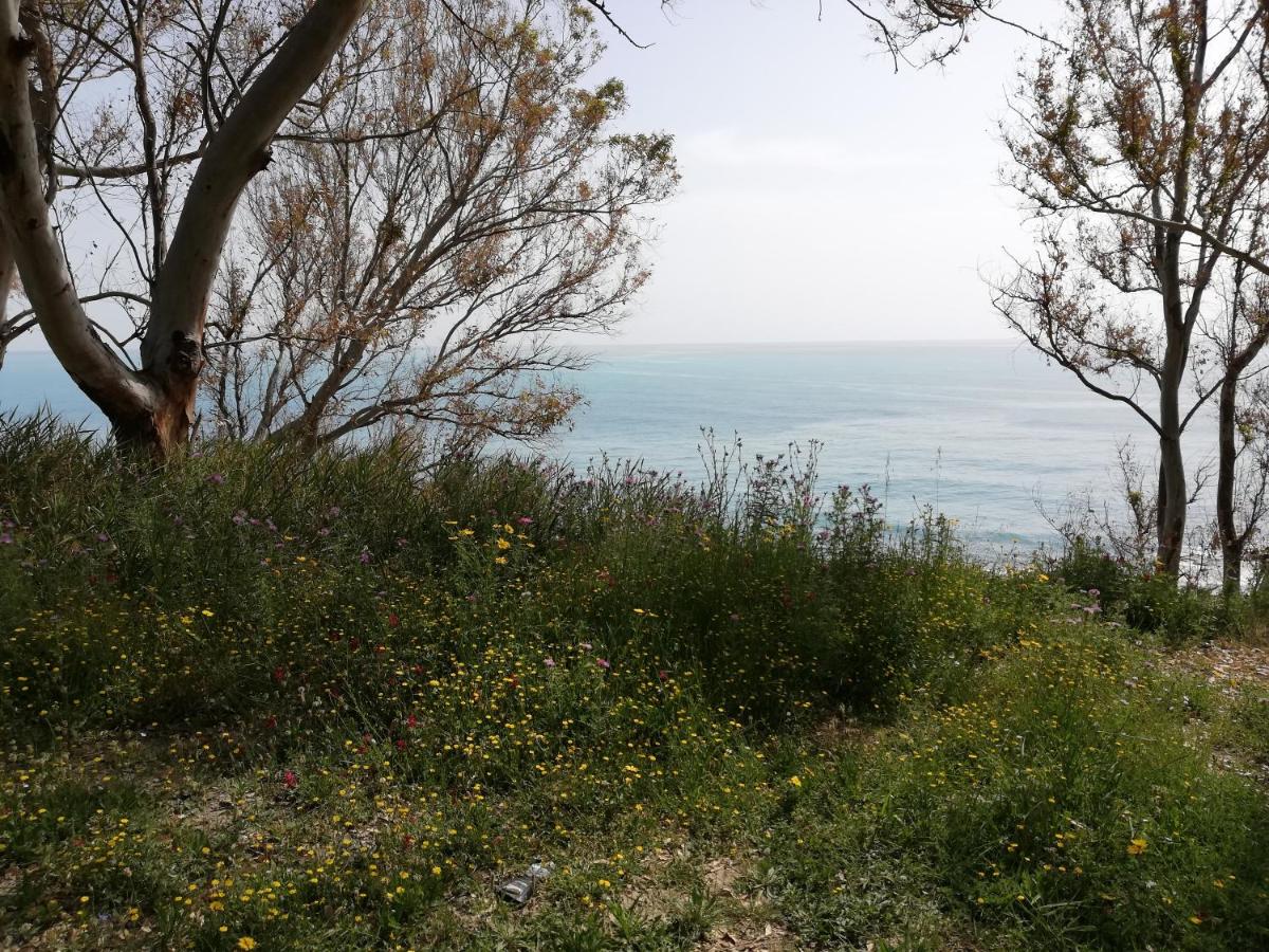 Residence Conchiglia - Housity