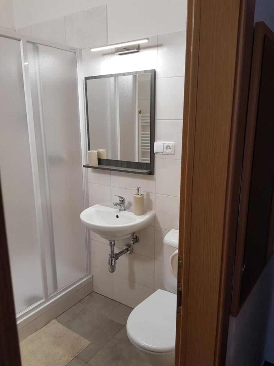 Pension U Dolezalu - Housity