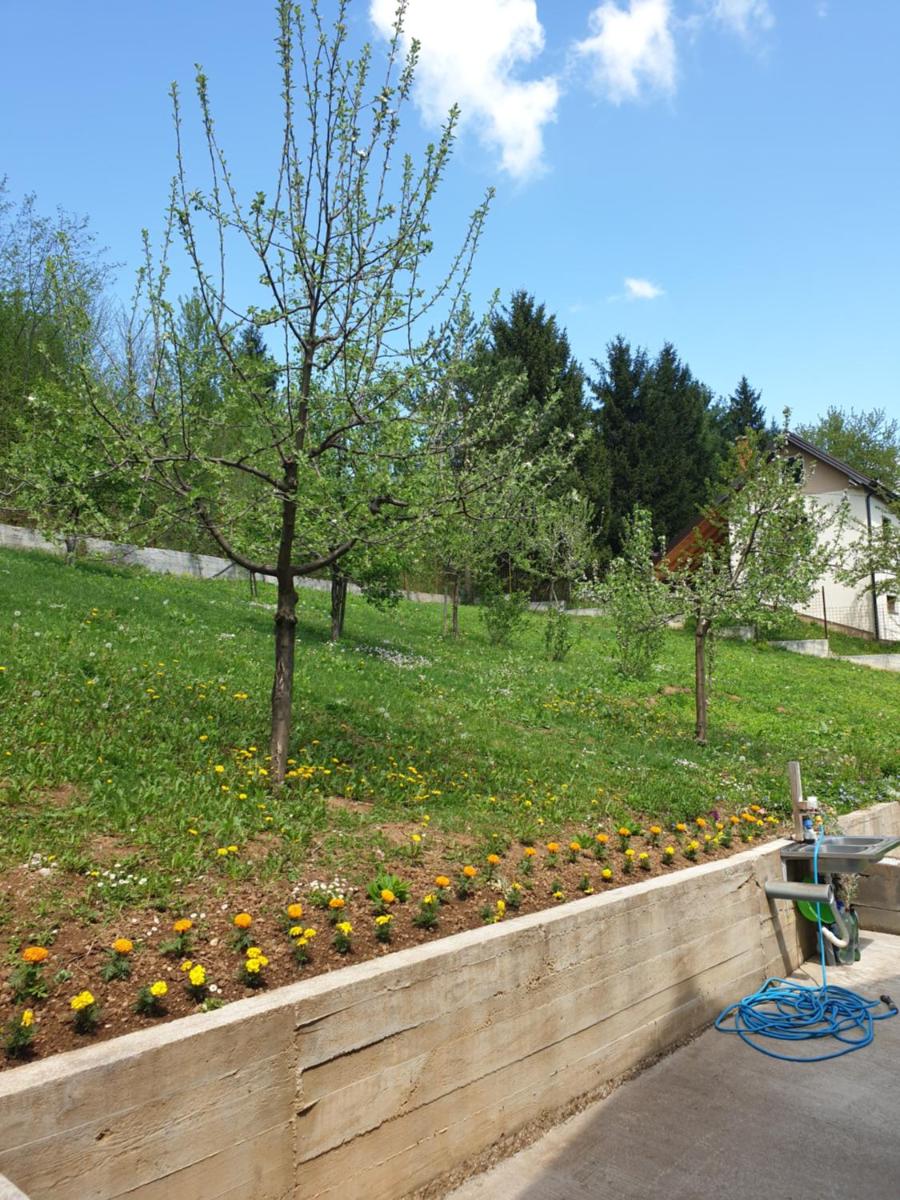 Vacation home Djogic - Housity