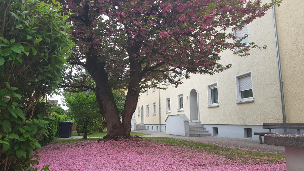 Suitetrails - Ferienwohnung Cifci
