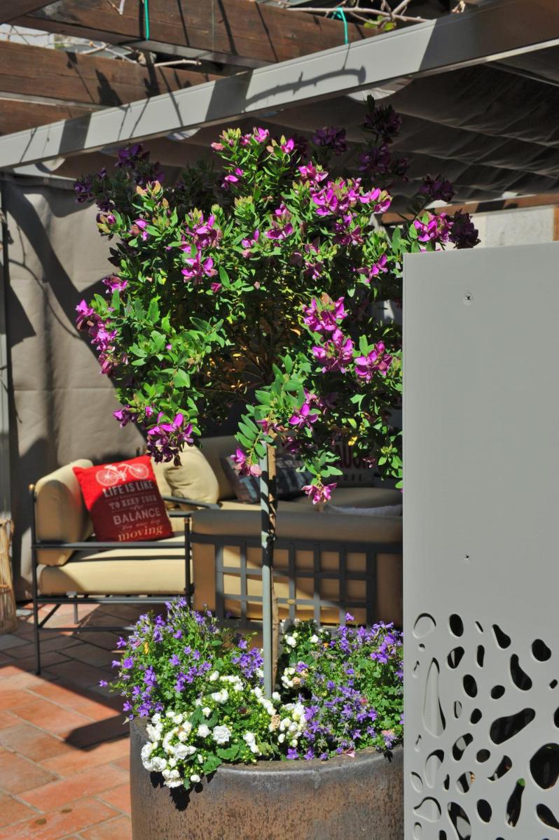 Bella Vacanza Limone - Housity