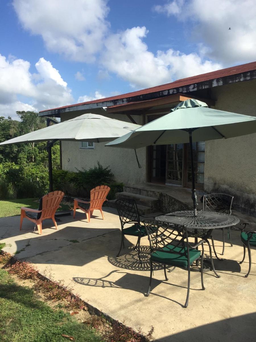 Teresinajamaica - Housity