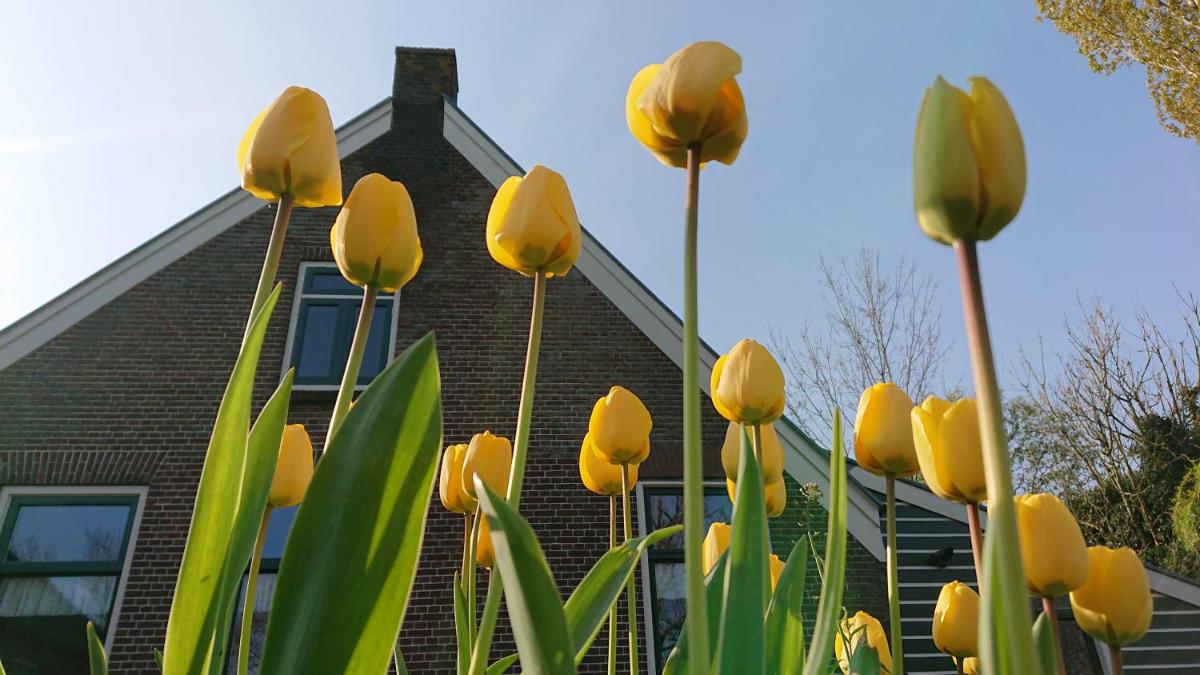 Breeveld Cottage - Housity