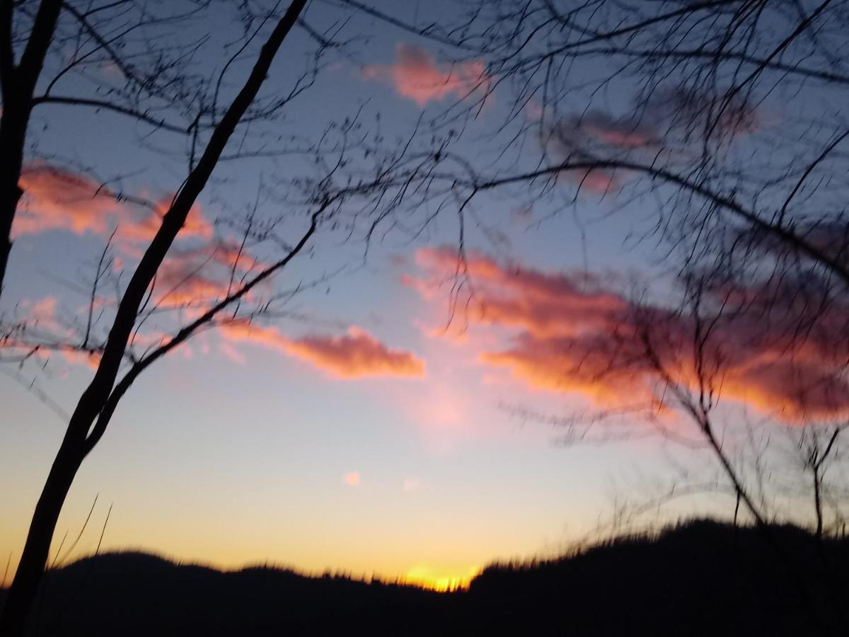 Počitniška hiša Pologar - Housity