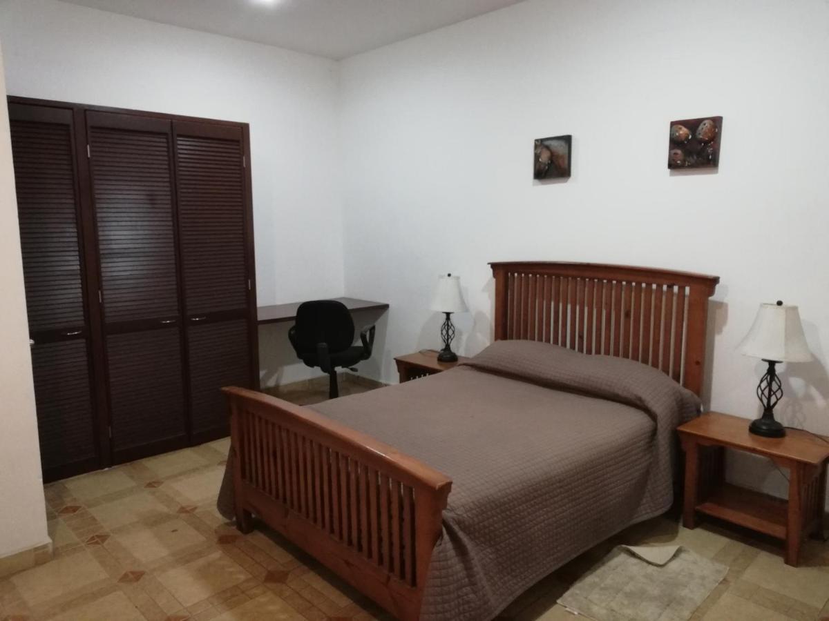 Hostal Centro de Coyoacan - Housity