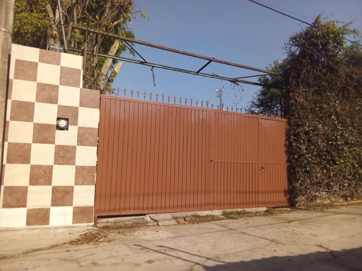 House of ficus (banderilla,veracruz-mexico) - Housity