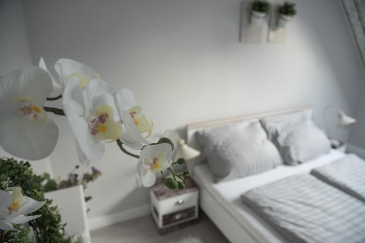 Farmhouse Apartman - Housity
