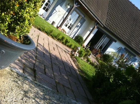 le jardin adele - Housity