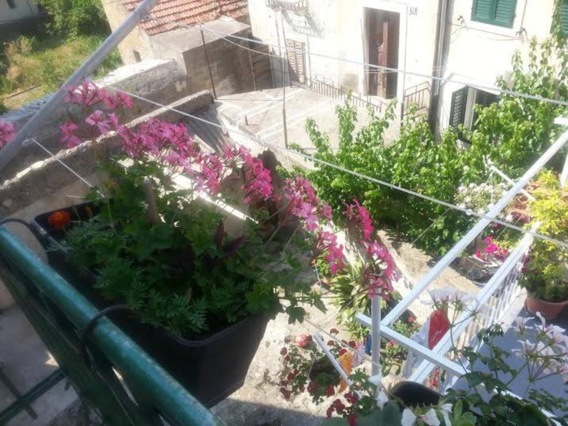 Suitetrails - Apartments Antonia