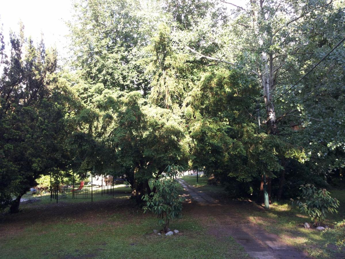 Park - ubytovanie v súkromí Somotor - Housity