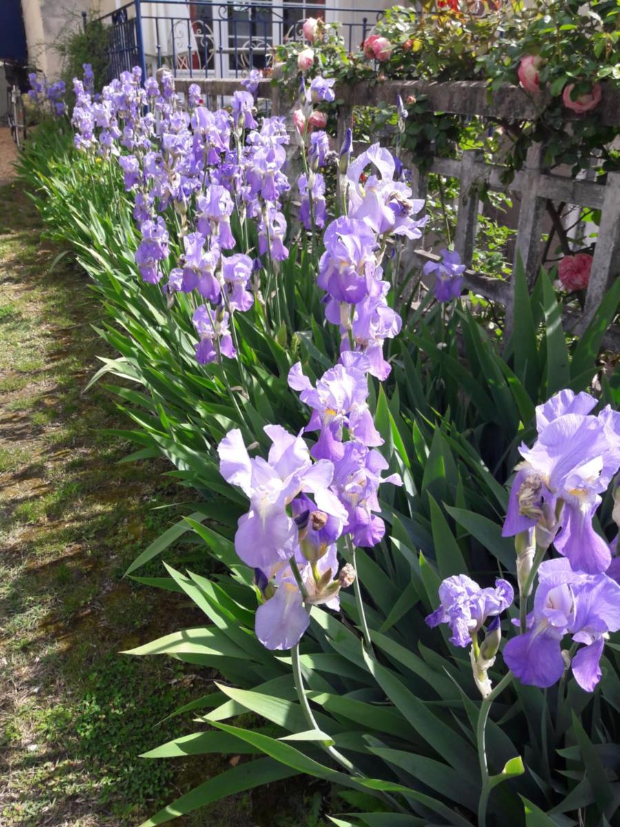 Suitetrails - Lairdeloire