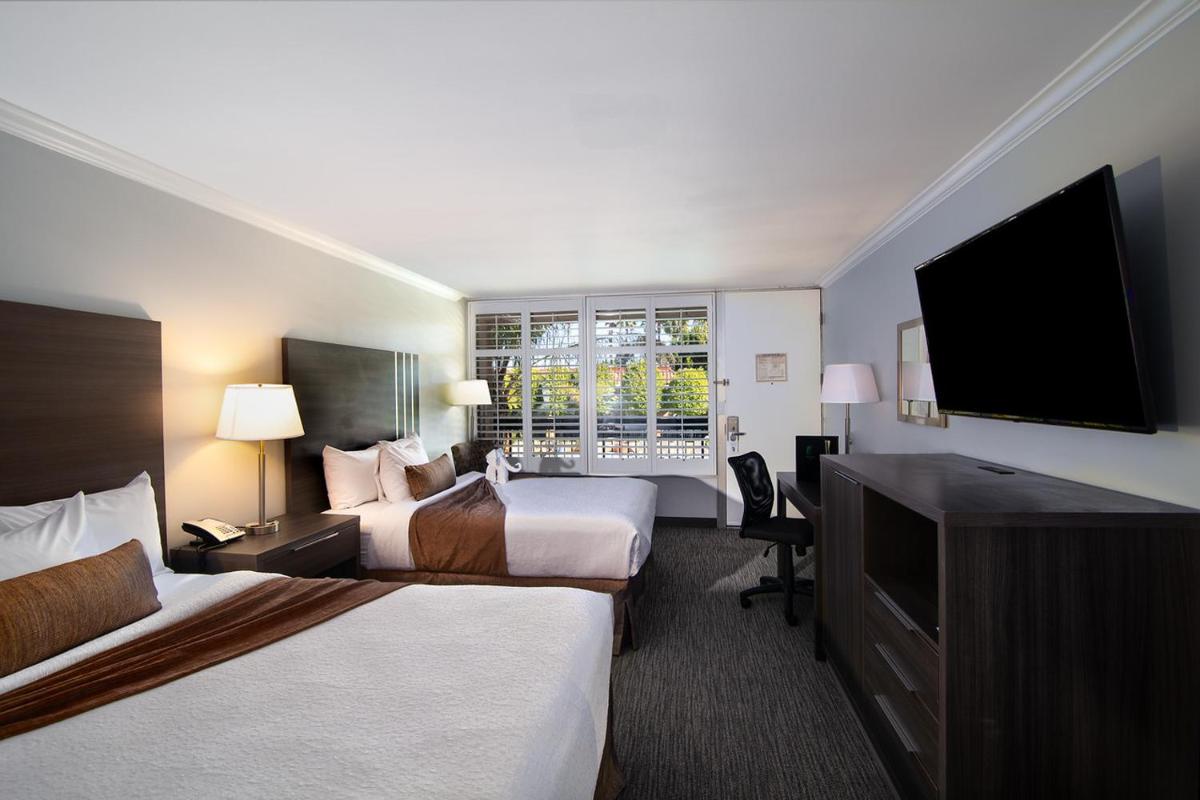 Palm Garden Hotel - Housity