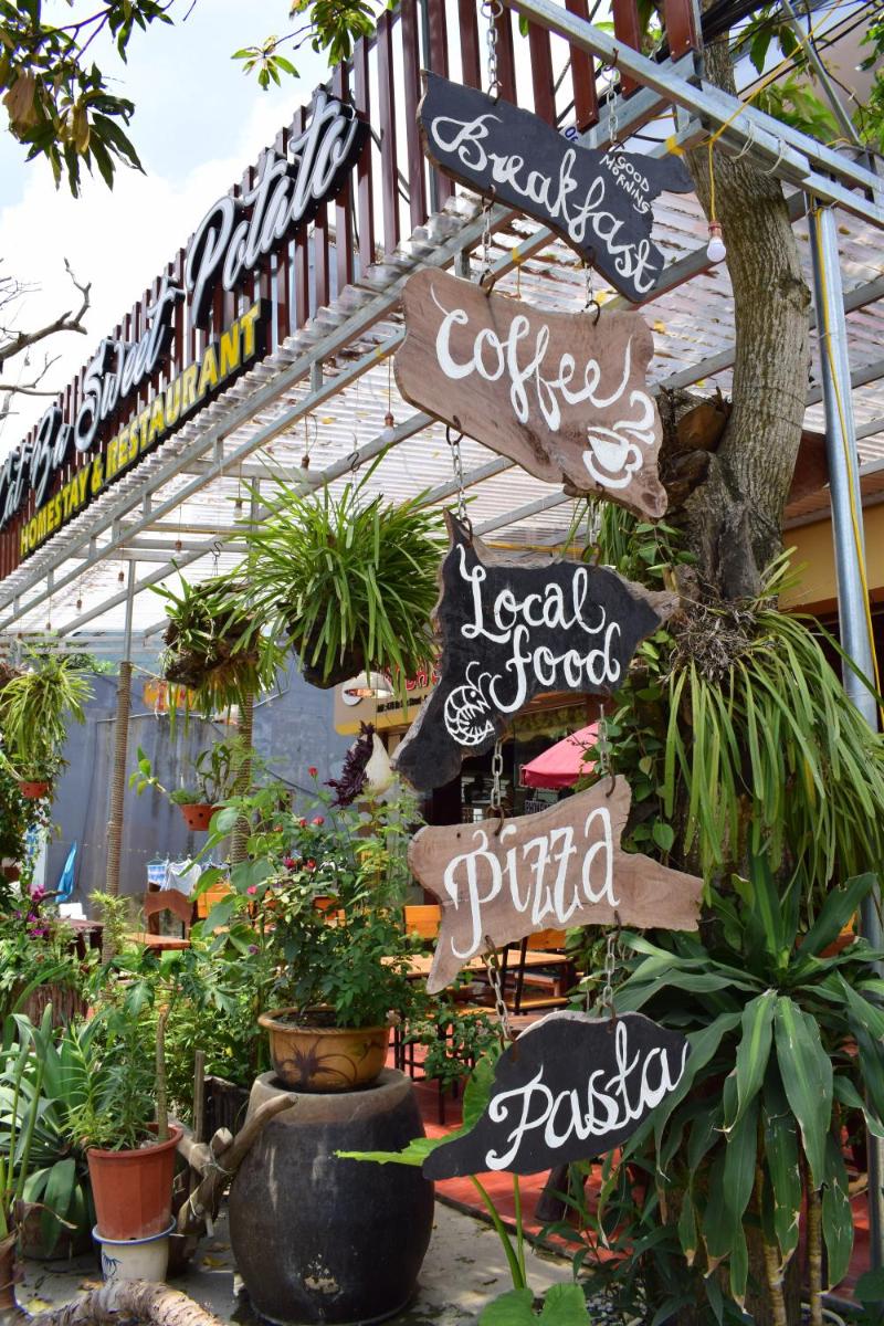 Cat Ba Sweet Potato Homestay - Housity