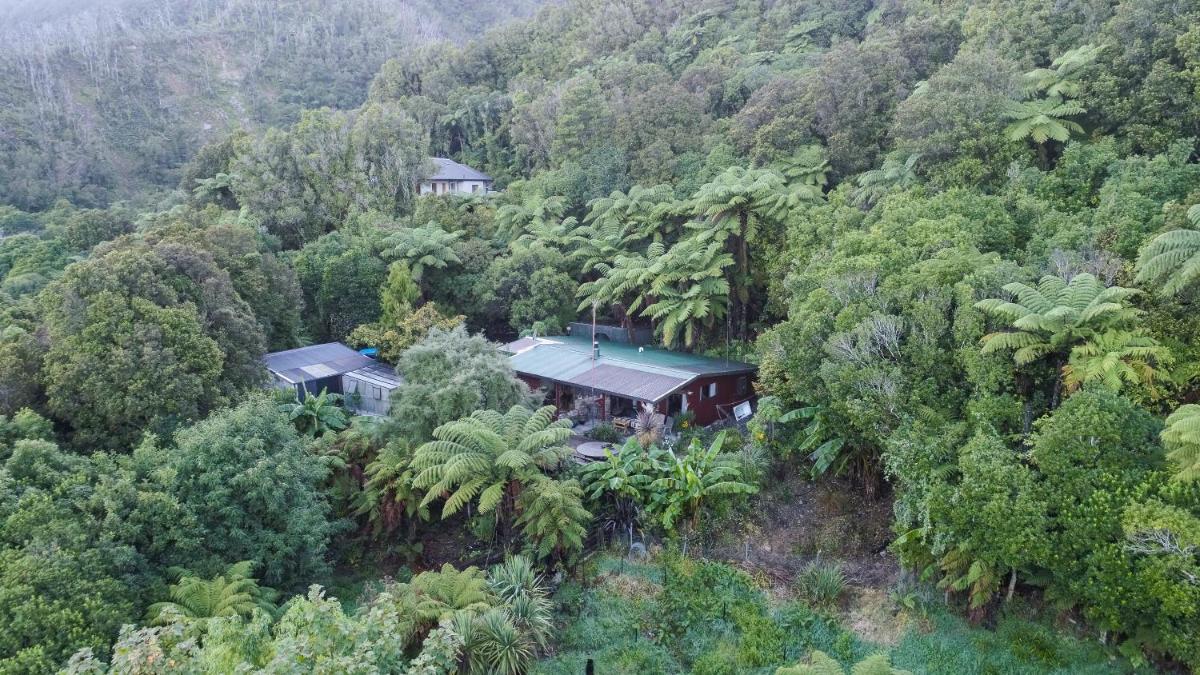 Forest Edge - Housity