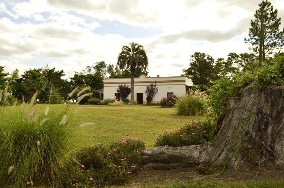 Alquimia Posada - Housity