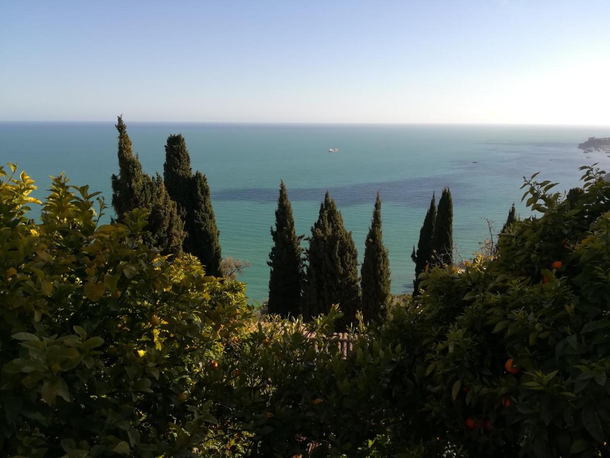 Monaco's Cottage & Spa - Housity