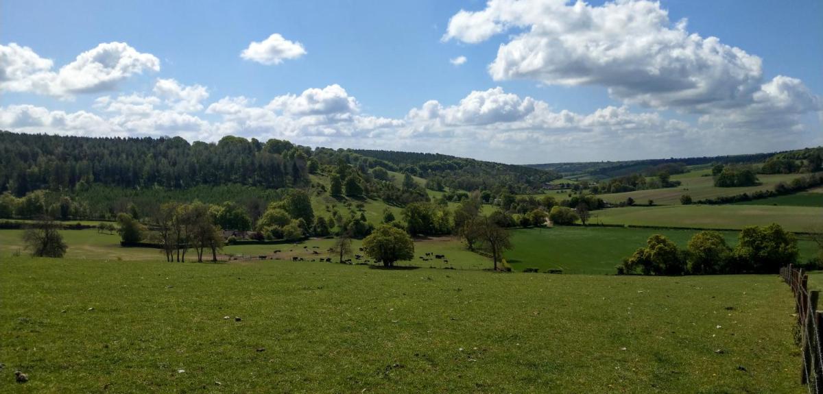 White Pond Farm - Housity