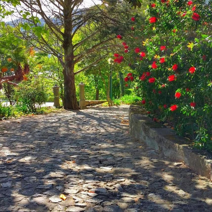Quinta da Ermida - Turismo de Habitacao - Housity