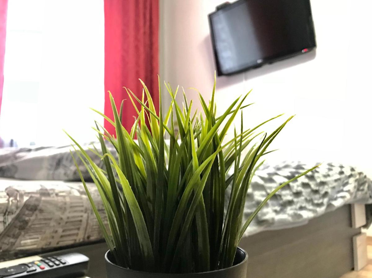 Modern Red Apartment - Hizvo