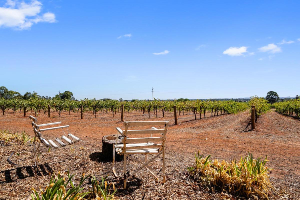 'In The Vines' Guest Cottage, Barossa Valley - Housity