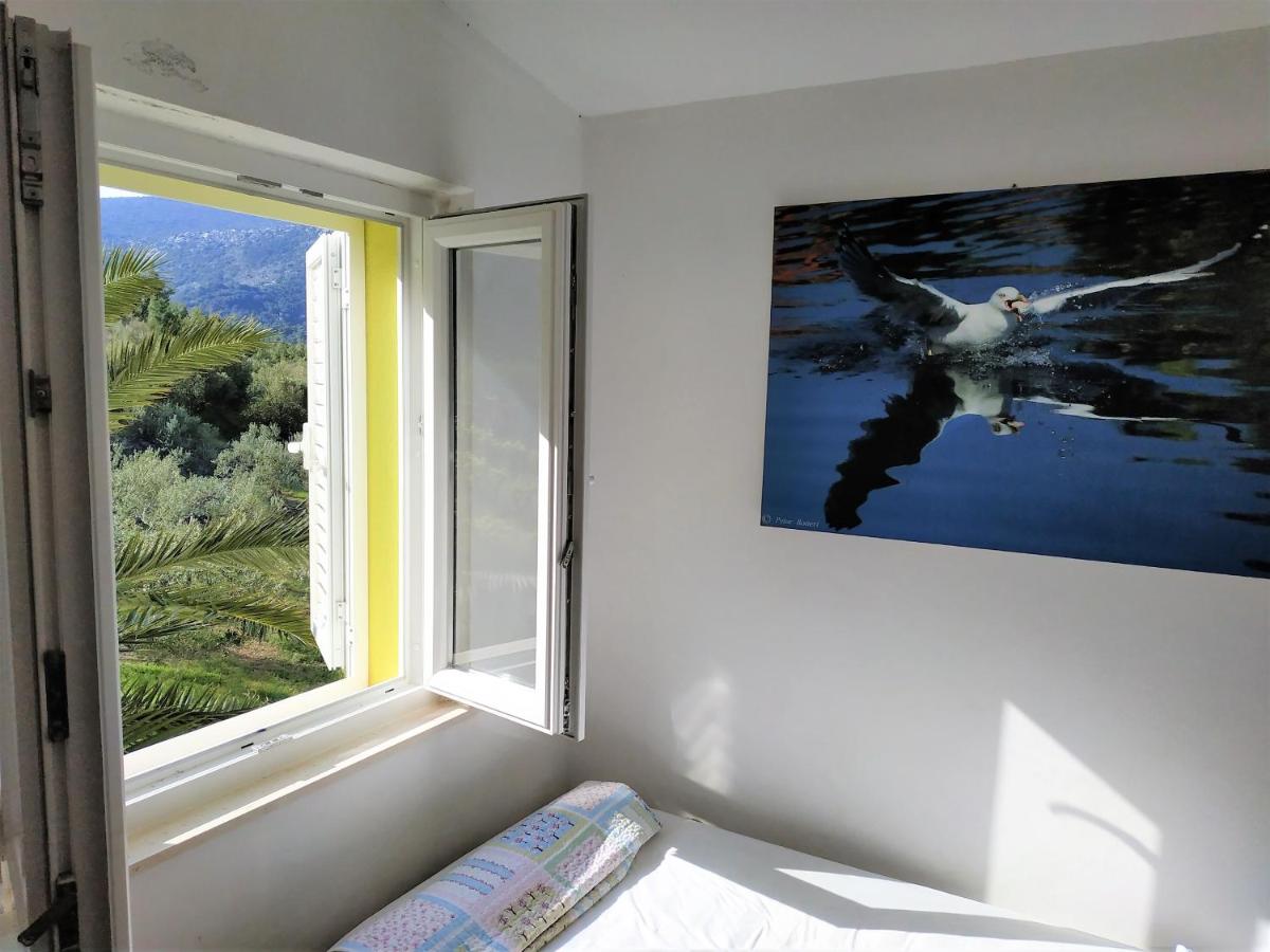 Apartments Mediterranea - Housity