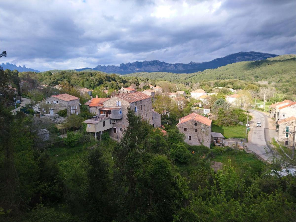 Casa tanghicciola - Housity