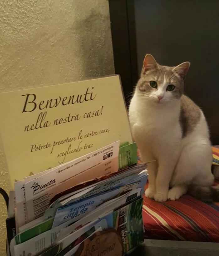 Suitetrails - B&B Meladormo