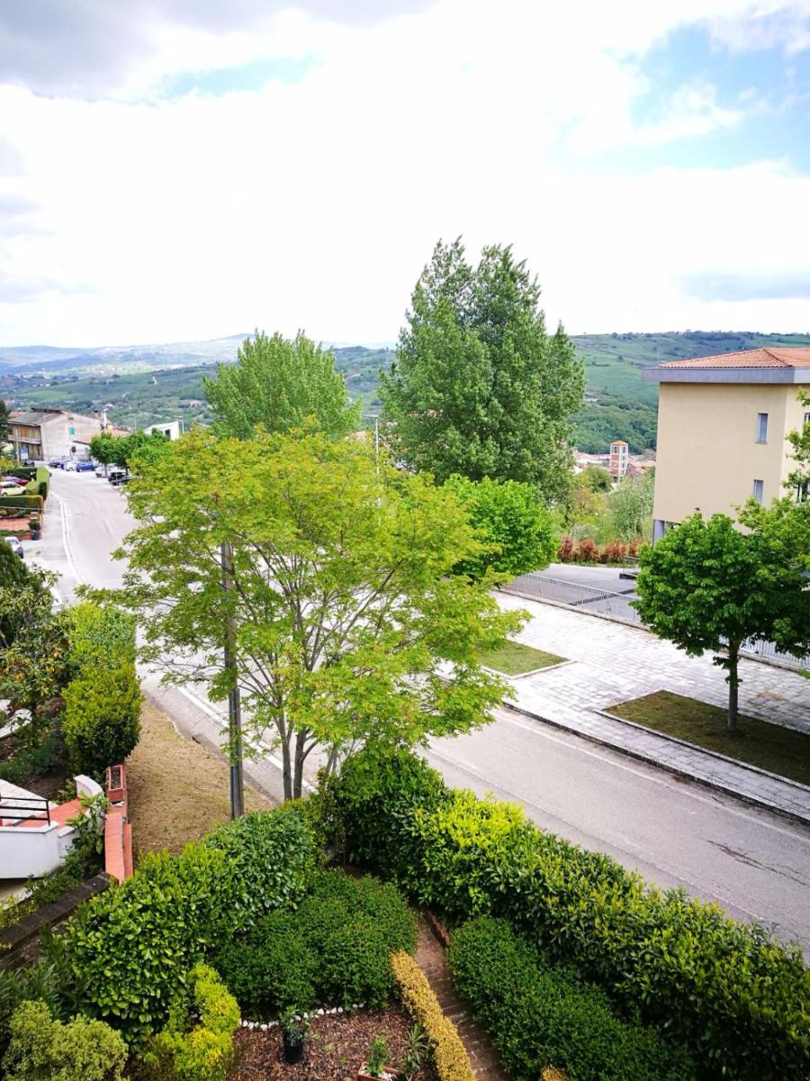 L'Oasi nel Verde - Housity