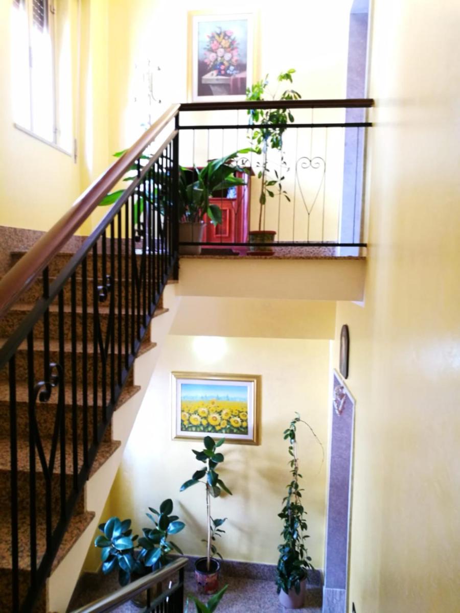 L'Oasi nel Verde - Housity