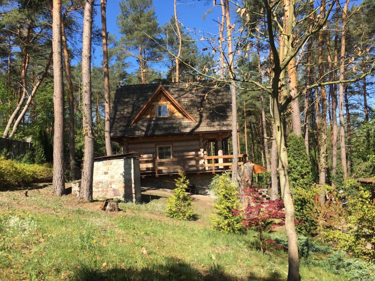 Domek z bali Tryszczyn nad Brdą - Housity