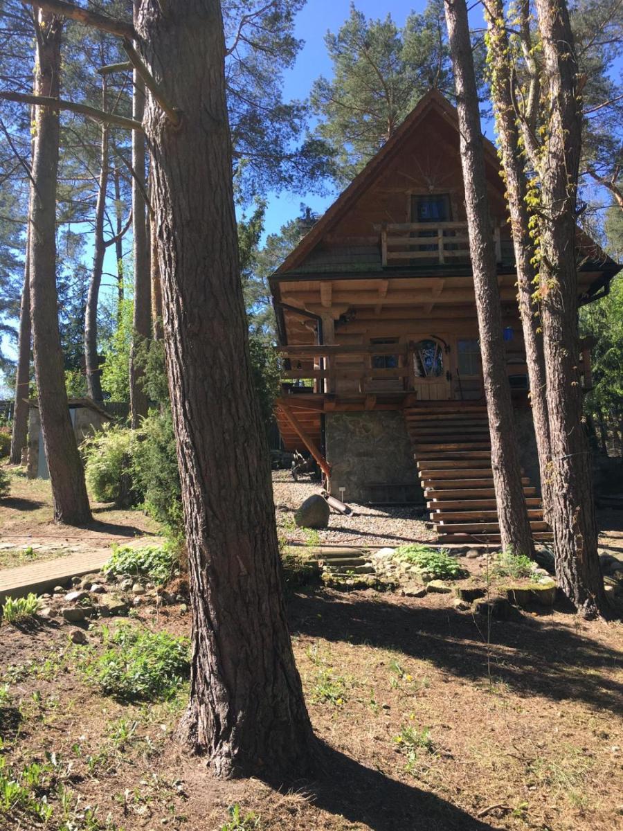 Domek z bali Tryszczyn nad Brdą - Housity