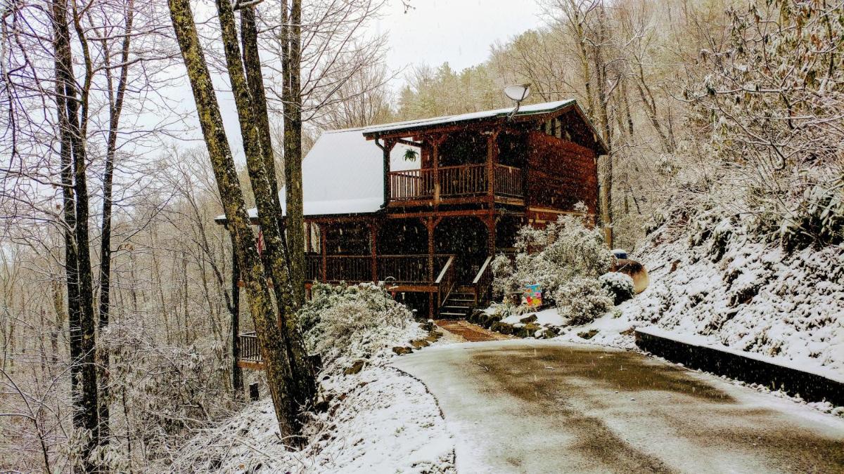 Serenity Creek Cabin - Housity