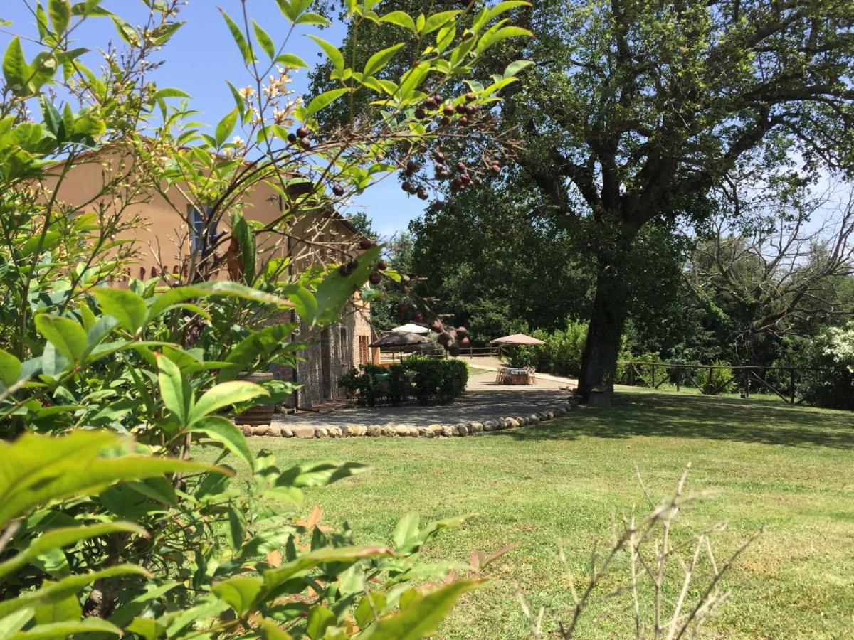 Agriturismo Pieve de Pitti - Housity