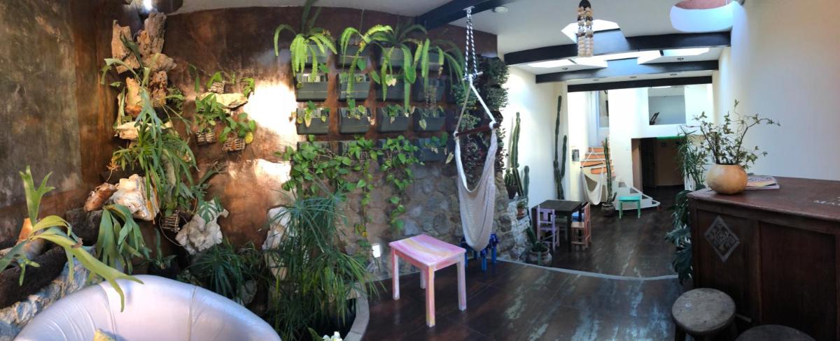 Magnolias Boutique Suites & SPA - Housity
