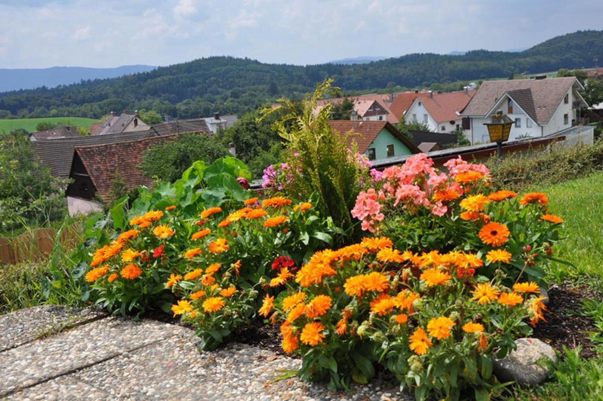 Gasthof Adler Güttingen - Housity