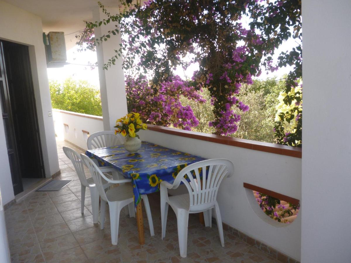 House in the most southern point of the island, completely fenced super price. - Housity