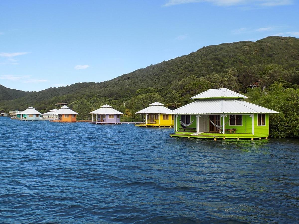 Mango Creek Resort - Housity