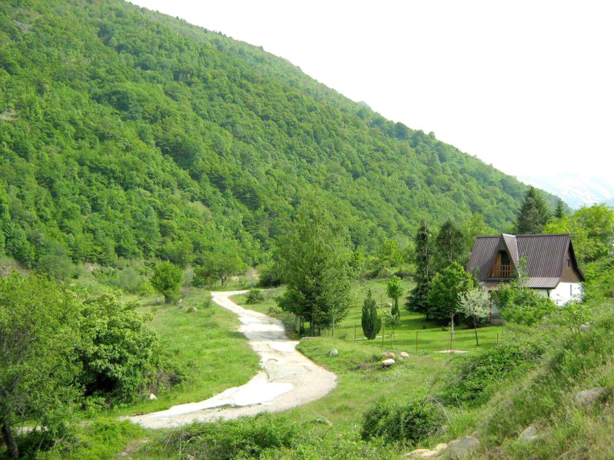 Villa ORKA Pelister - Forest Zone - Housity