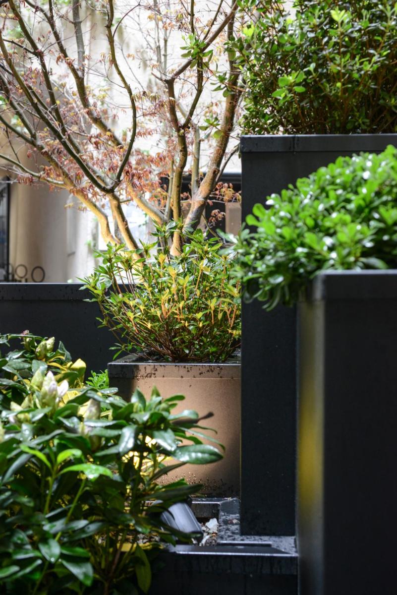 Jardin de l'établissement Petit Hôtel Confidentiel